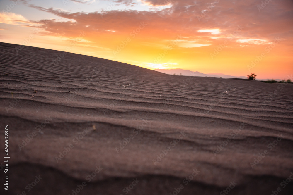 Obraz premium colorful Desert dunes at sunrise