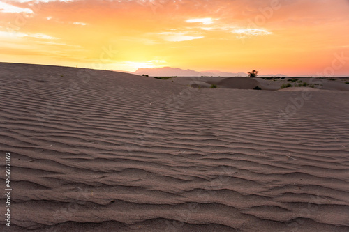 Desert sand dunes at sunrise