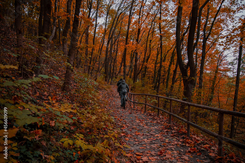 bicycle ride of people in weekend activity across atmospheric October wood land picturesque fall seasonal environment © Артём Князь