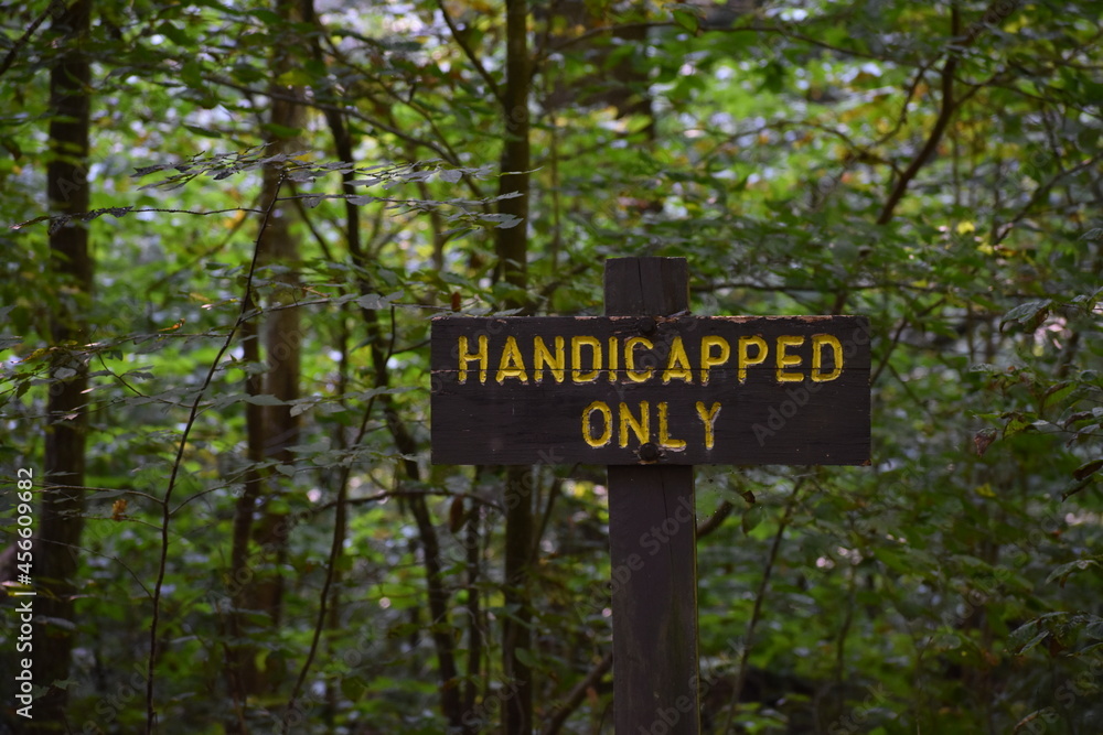 Wooden handicapped only parking sign in nature park