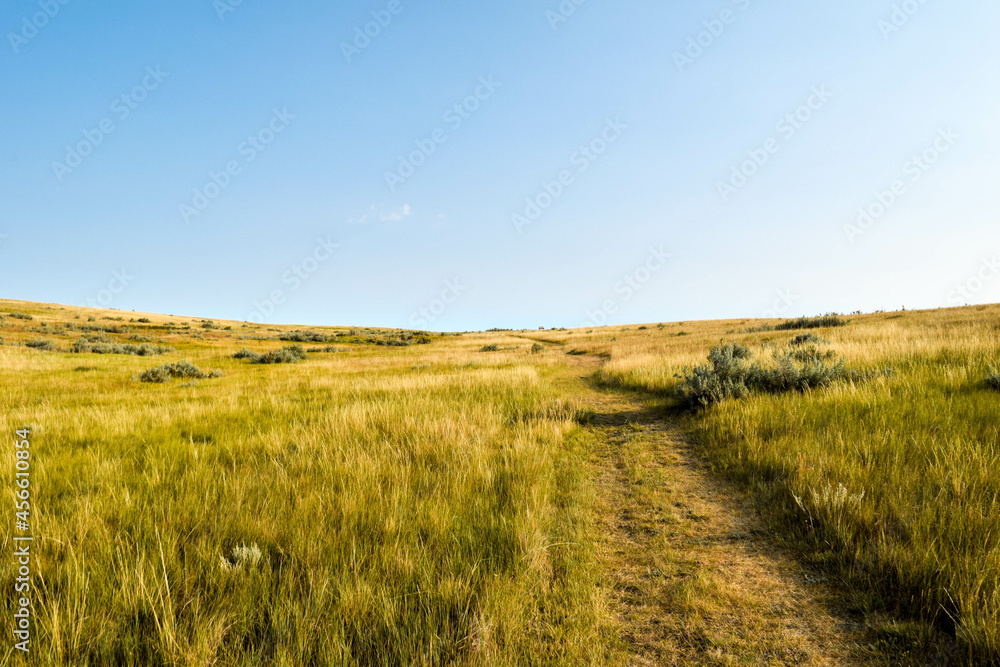 Grasslands Road