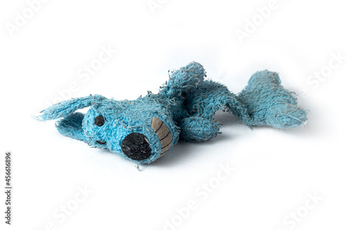Plush puppy, used and broken dog toy