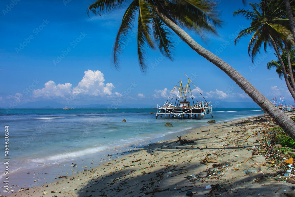 Obraz premium beach with palm trees