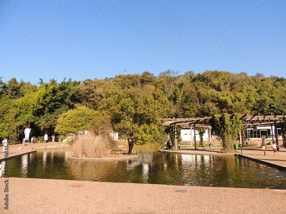 Obraz premium A sunny day in a park in Belo Horizonte called Mangabeiras. 