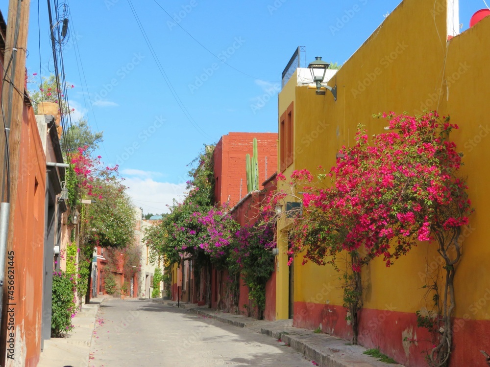 colorful street of San Miguel de Allende, Mexico