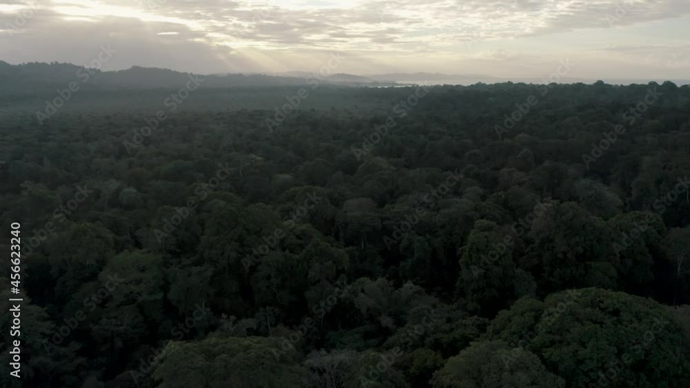 Cinematic drone flight over treetops of Costa Rican rainforest; sunset Cinematic drone flight over treetops of Costa Rican rainforest; sunset