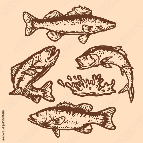 set of fishes