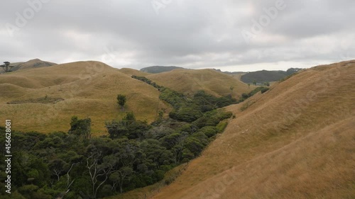 Static timelapse of grassy hills and pastures in New Zealand´s countryside during overcast cloudy summer day in 4K. photo