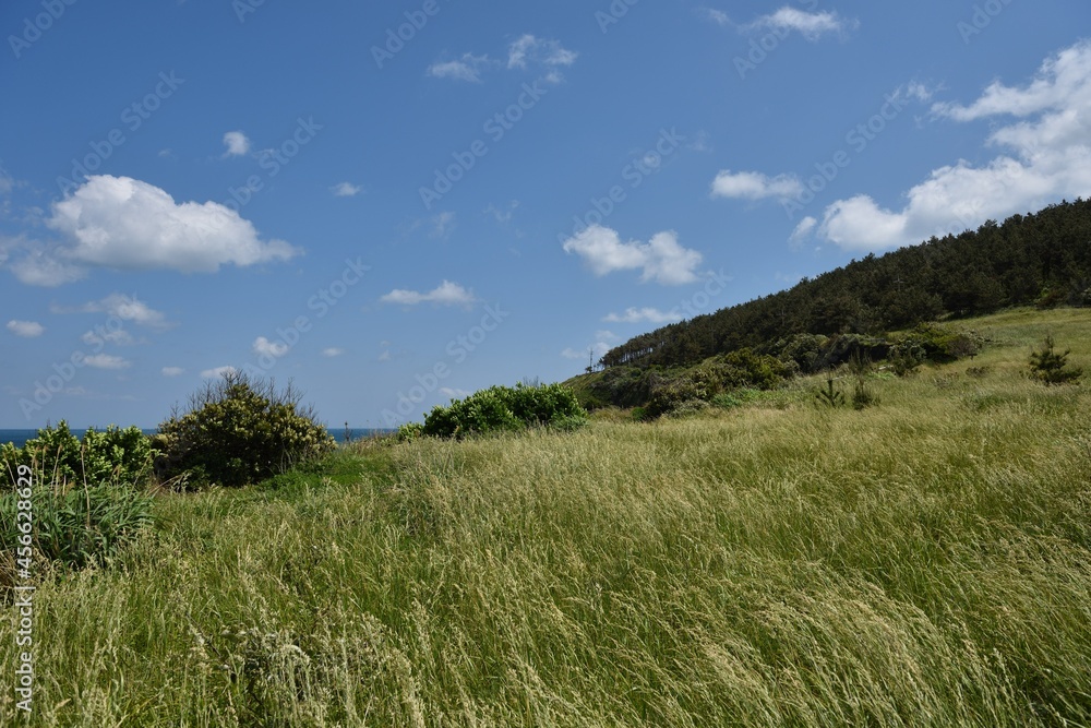 landscape with sky and clouds in island landscape with sky and clouds in island