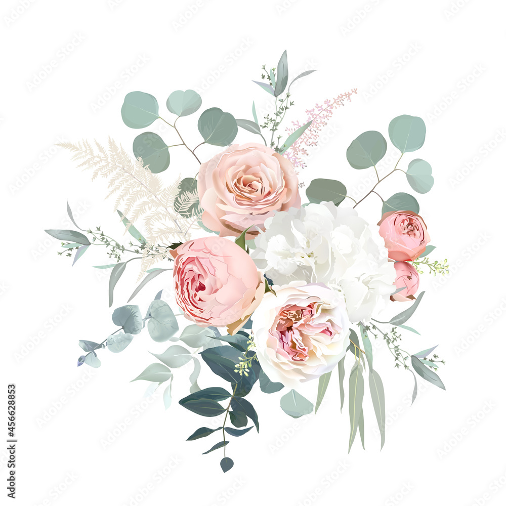 Blush pink garden roses, ranunculus, hydrangea flowers vector design bouquet