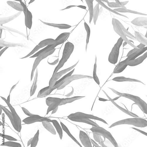 Foliage seamless pattern, black and white eucalyptus leaves on white