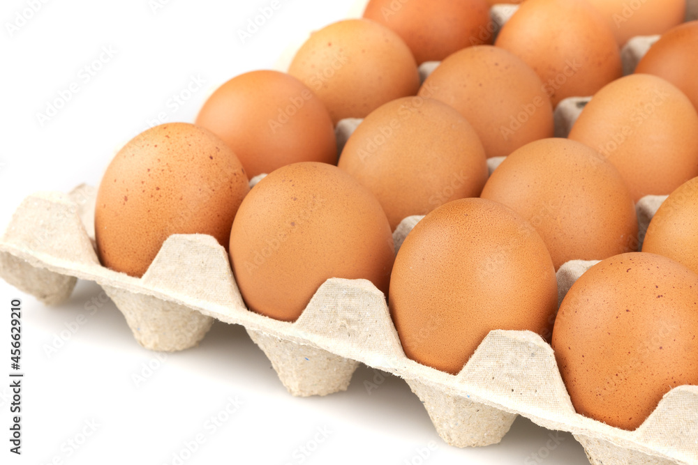 Eggs are freshly placed in a panel on a white background Eggs are freshly placed in a panel on a white background