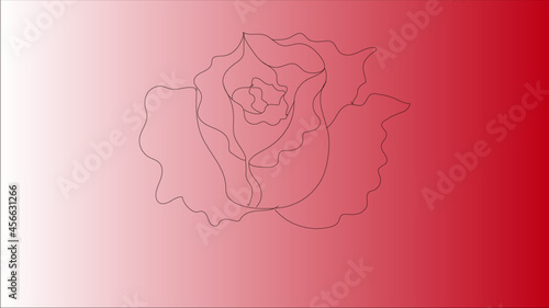line drawing roses