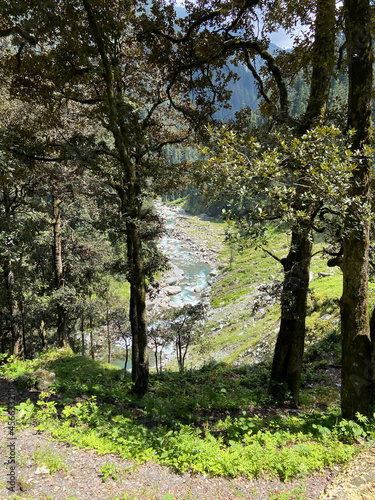 Fototapeta Naklejka Na Ścianę i Meble -  River flowing in high altitude region of himachal pradesh