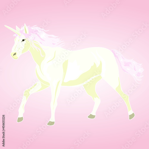 Magic unicorn card. Hand drawing unicorn. Unicorn background. Vector illustration unicorn.