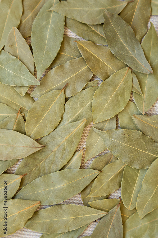 Raw Bay Leaves on cloth, overhead view. Flat lay, top view, from above. Raw Bay Leaves on cloth, overhead view. Flat lay, top view, from above.