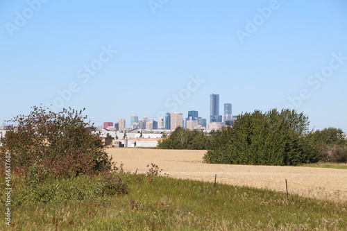 City From The Field, Pylypow Wetlands, Edmonton, Alberta