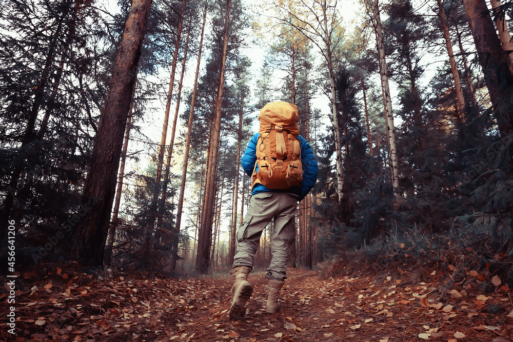 man with backpack a view from the back, hiking in the forest, autumn landscape, the back of tourist with a backpack man with backpack a view from the back, hiking in the forest, autumn landscape, the back of tourist with a backpack