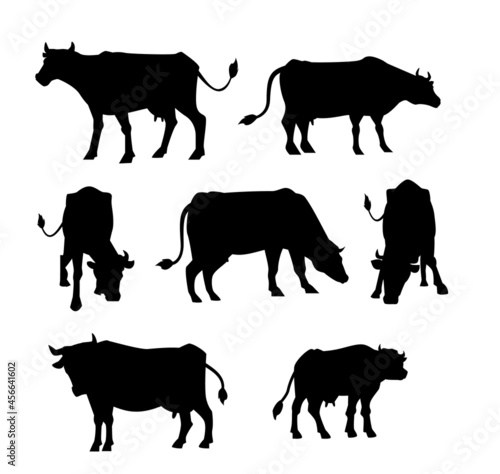 Set of vector black silhouettes of domestic farm cattle - cows, calves and bulls