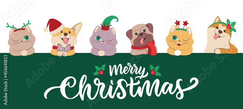 The set of faces cats and dogs for Merry Christmas