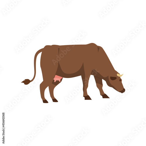 Thoroughbred brown cow stands sideways flat vector illustration isolated.