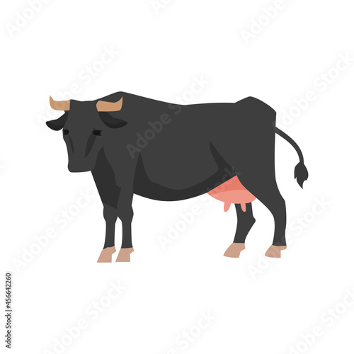 Farm cattle cow for production beef and dairy products from milk.