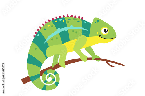 Vector chameleon lizard isolated on white background, colored exotic animal, illustration of chameleon sitting on branch
