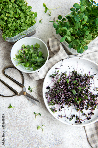 Assortment of micro greens on wooden table