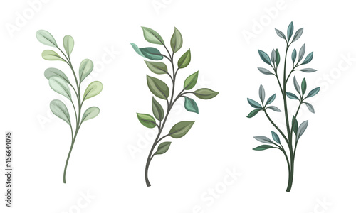 Twig and Foliage with Stem and Leaves Vector Set