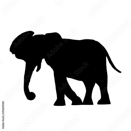 Silhouette of a black elephant  an African animal isolated on a white background.Vector doodle illustration.