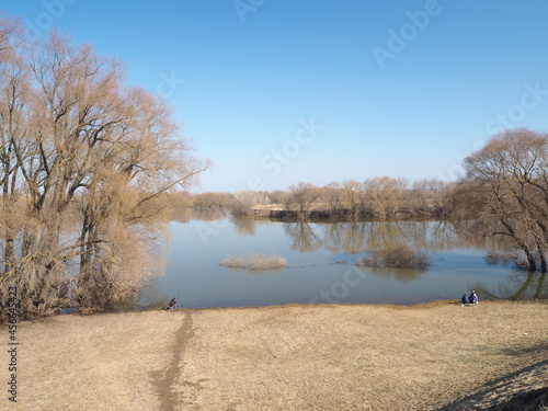 Autumn trees on the shore 