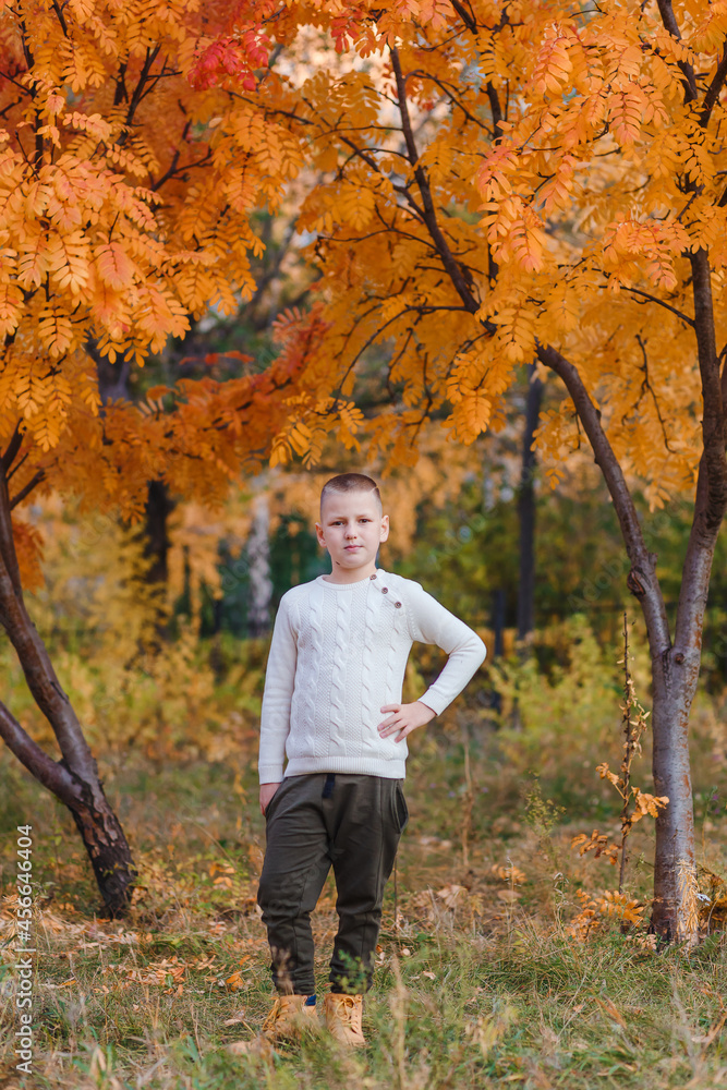 a nine-year-old short-haired boy in a knitted white sweater stands against the background of a mountain ash in the fall