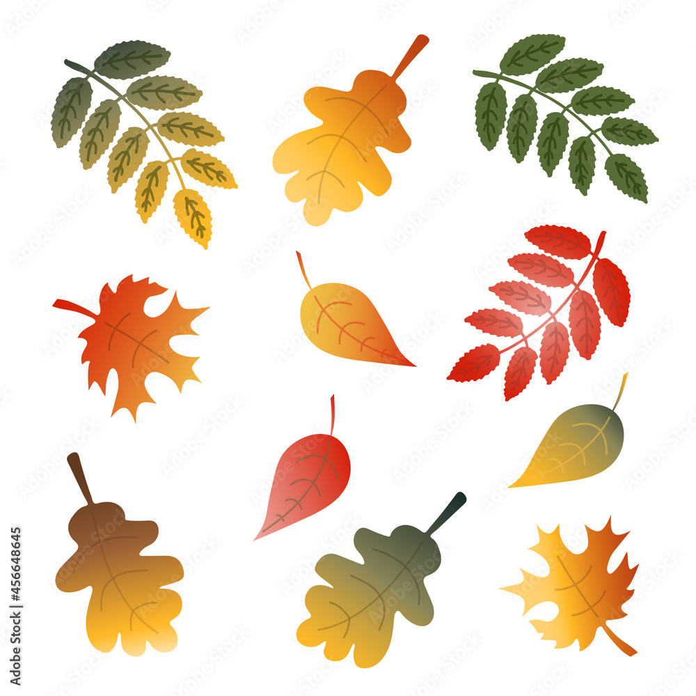 Obraz premium Set of flat art Fall leaves in bright warm red, yellow, orange and brown Autumn colors isolated on white background