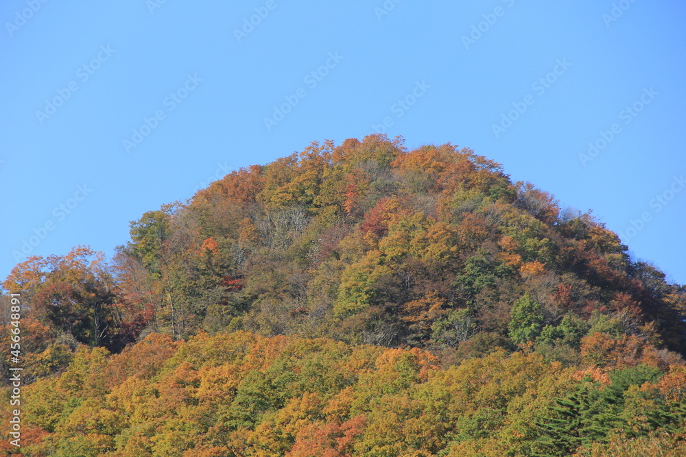 様々な木が紅葉している、秋の山
