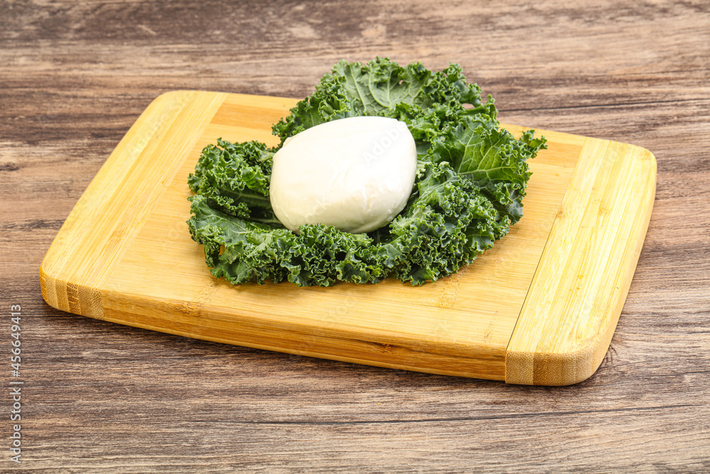 Soft mozzarella cheese over board Soft mozzarella cheese over board