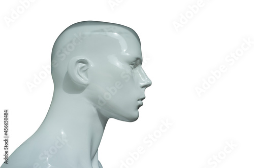 Mannequin bust profile. Isolated