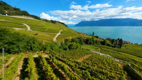 Wallpaper Mural FPV Drone Shot Of Lavaux Vineyard Terraces Near Village Of Epesses In Vaud, Switzerland. aerial Torontodigital.ca