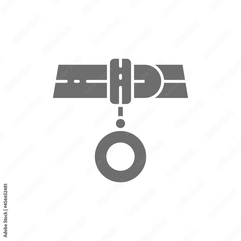 Vector collar with address, medallion grey icon. Vector collar with address, medallion grey icon.