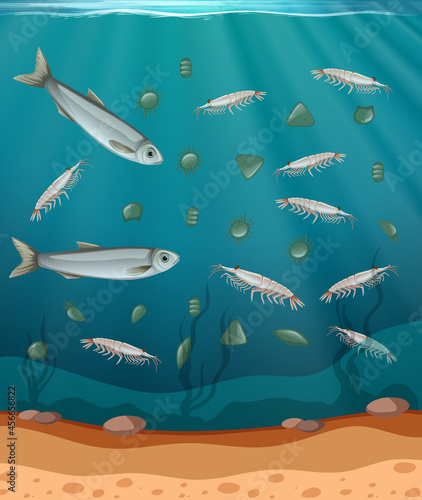Fish and plankton in the water