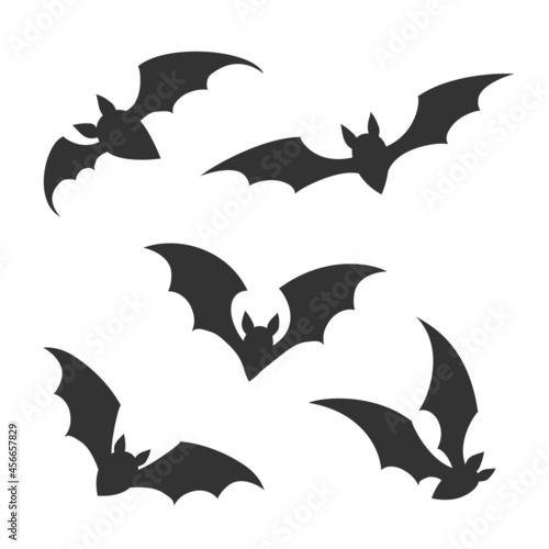 Flying night bats