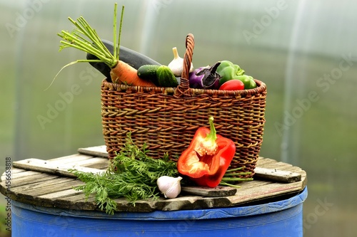 Vegetable autumn still life (harvest)