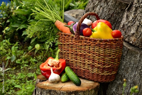 Vegetable autumn still life (harvest)