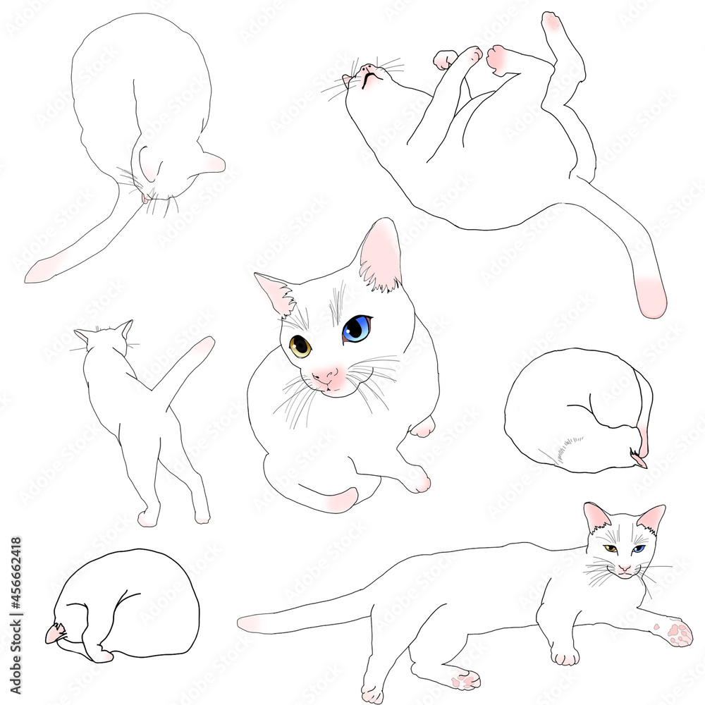 猫のポーズ集 猫のポーズ集