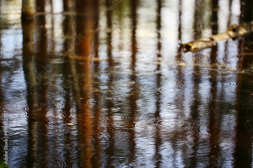 rain puddle circles  aqua abstract background  texture autumn water