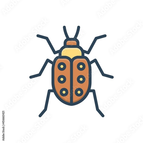 Color illustration icon for bugs © WEBTECHOPS