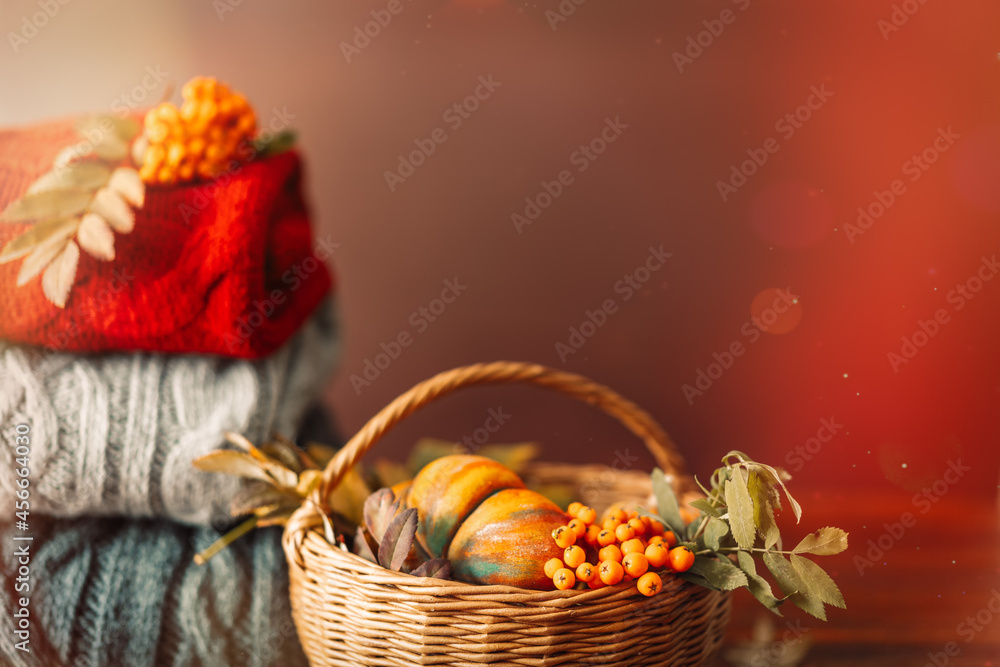 Wicker basket with autumn harvest on the background of knitted sweaters of different colors Wicker basket with autumn harvest on the background of knitted sweaters of different colors