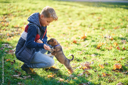 Pretty boy playing with brown puppy in autumn park. Concept of enjoying time with pet.