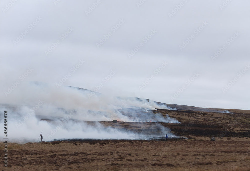 Heather management on a Northumberland grouse moor.