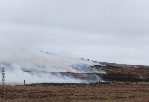 Heather management on a Northumberland grouse moor. photo