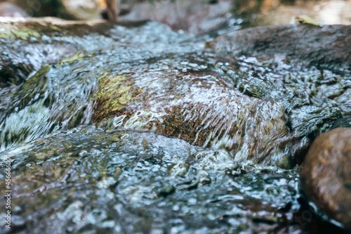 森の中を流れるきれいな小川